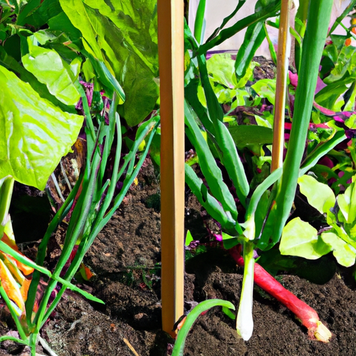 Can I Grow A Vegetable Garden Without Chemicals