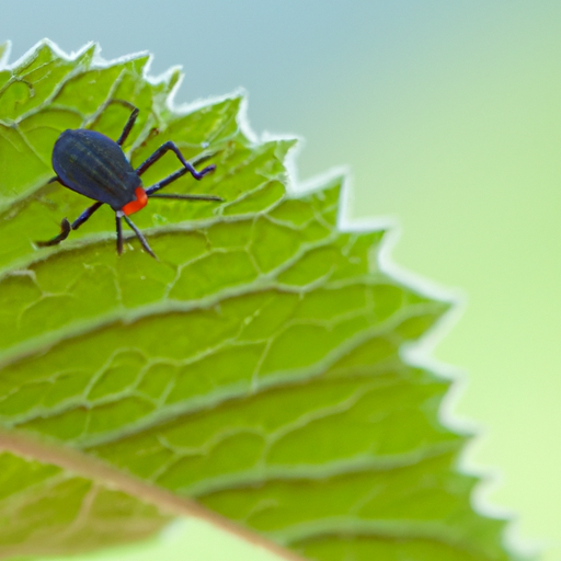 Guide To Vegetable Garden Pests