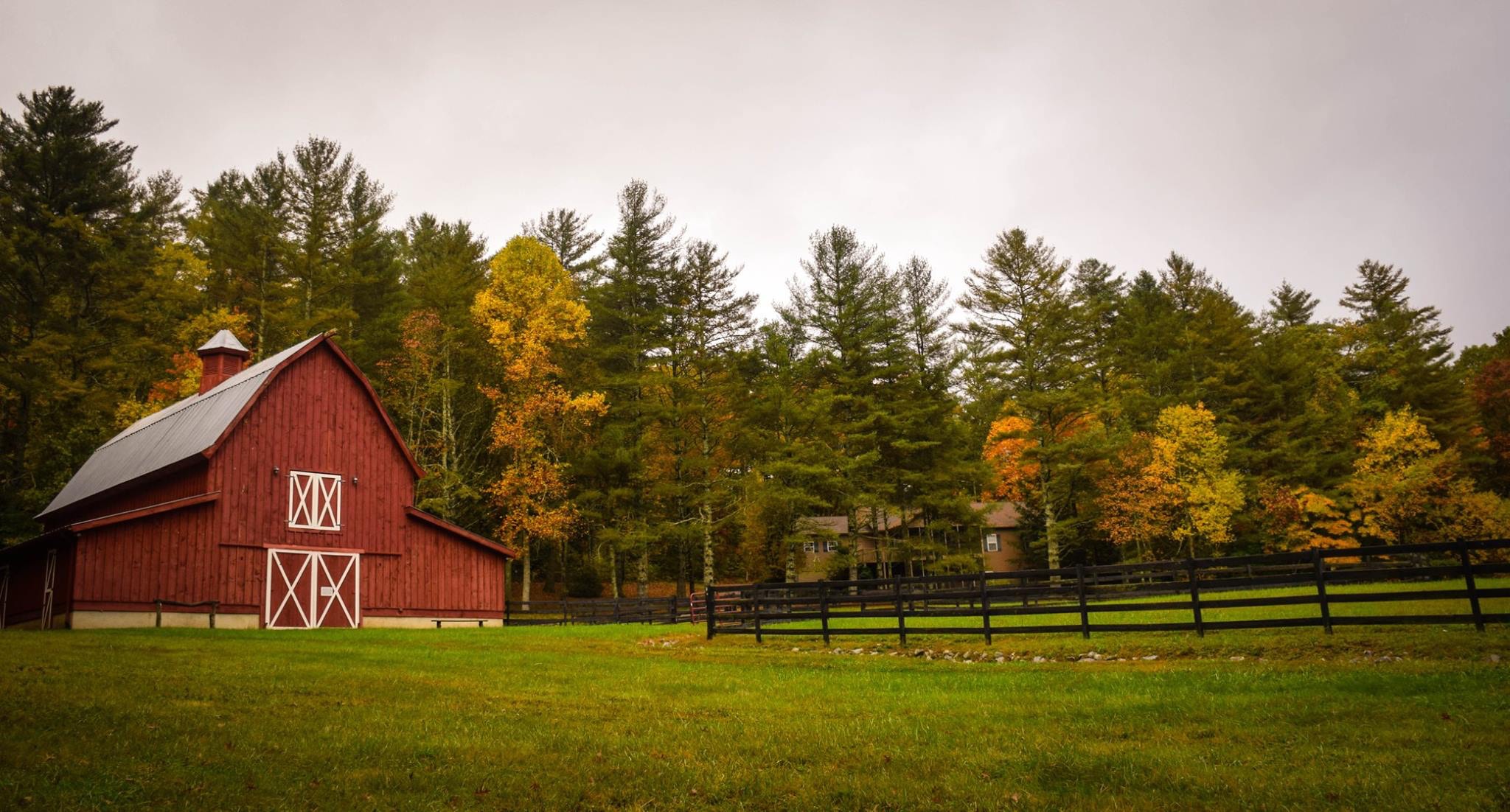 Herbs and Spices: From Farm to Table